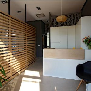 Pilates studio, Beograd, ulazni deo, paravan i pult sa kuhinjicom Pilates studio, Beograd, ulazni deo, paravan i pult sa kuhinjicom